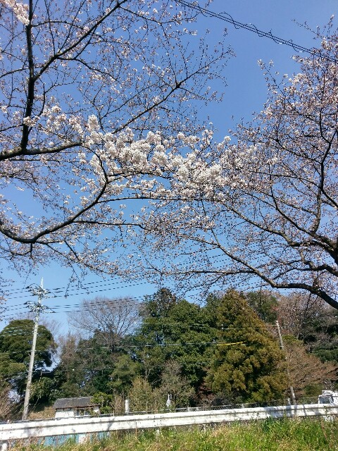 f:id:sakamotwin:20170404224055j:image