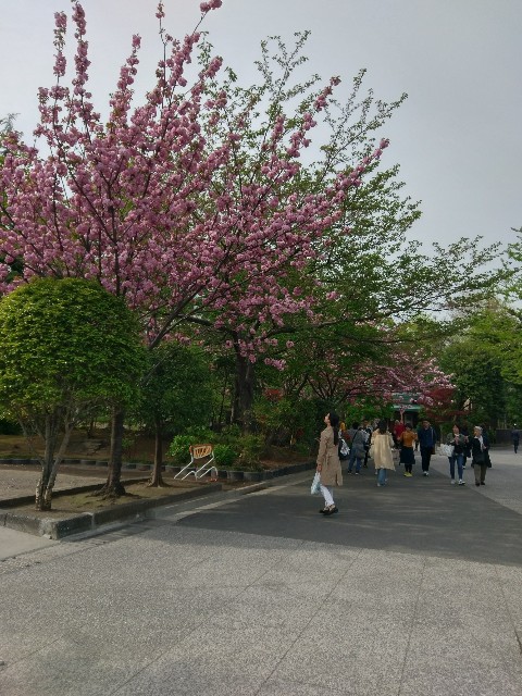 f:id:sakamotwin:20170422054241j:image