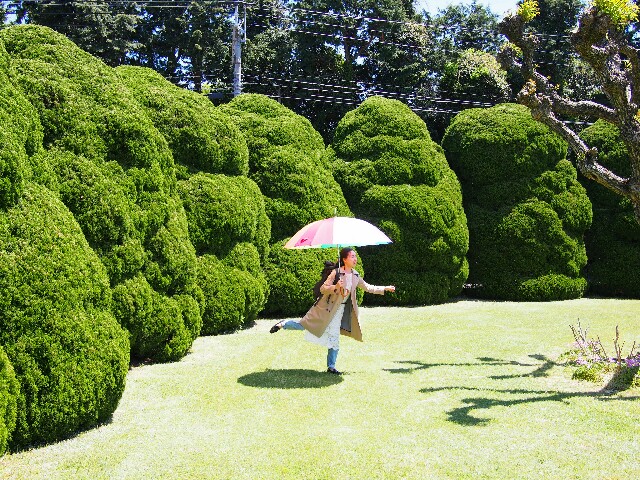 f:id:sakamotwin:20170427212601j:image