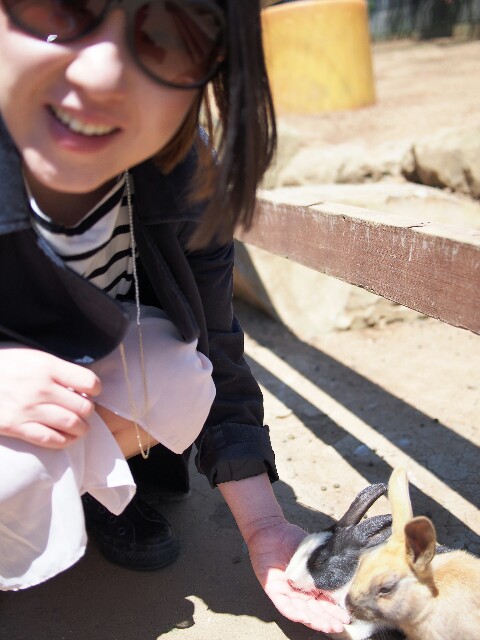 f:id:sakamotwin:20170427214021j:image