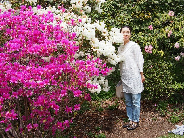 f:id:sakamotwin:20170509225505j:image