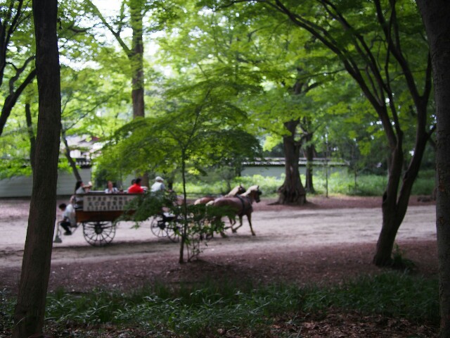 f:id:sakamotwin:20170723214948j:image