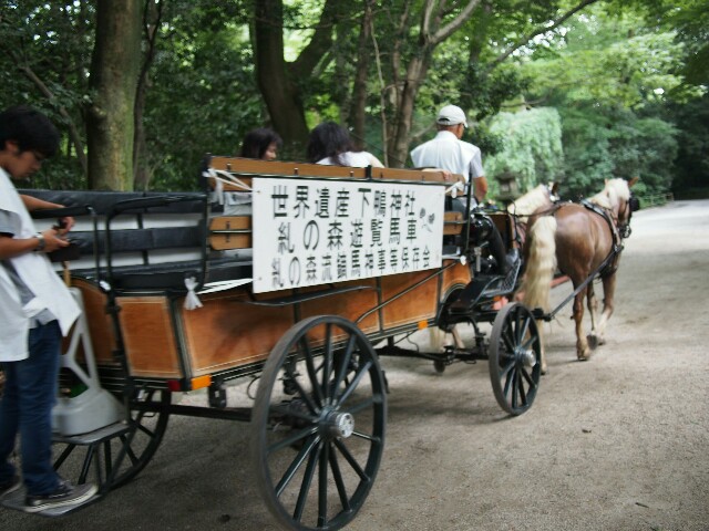 f:id:sakamotwin:20170723215100j:image