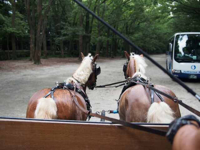 f:id:sakamotwin:20170723215815j:image