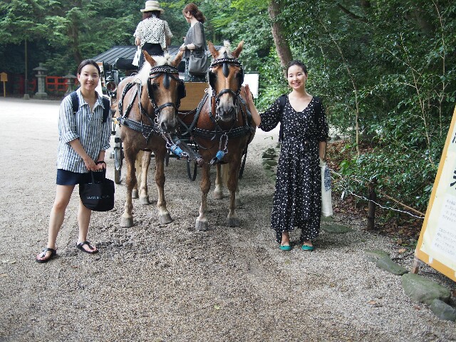 f:id:sakamotwin:20170723220047j:image