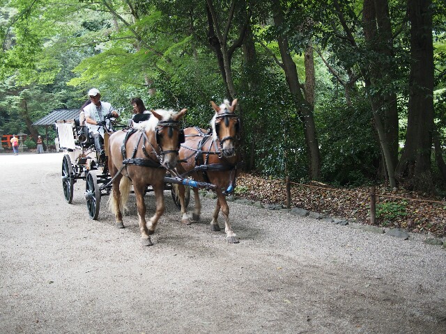 f:id:sakamotwin:20170723220436j:image