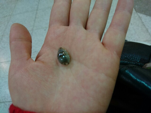 f:id:sakamotwin:20180106233241j:image f:id:sakamotwin:20180106233241j:image