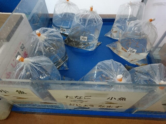 f:id:sakamotwin:20180309204540j:image