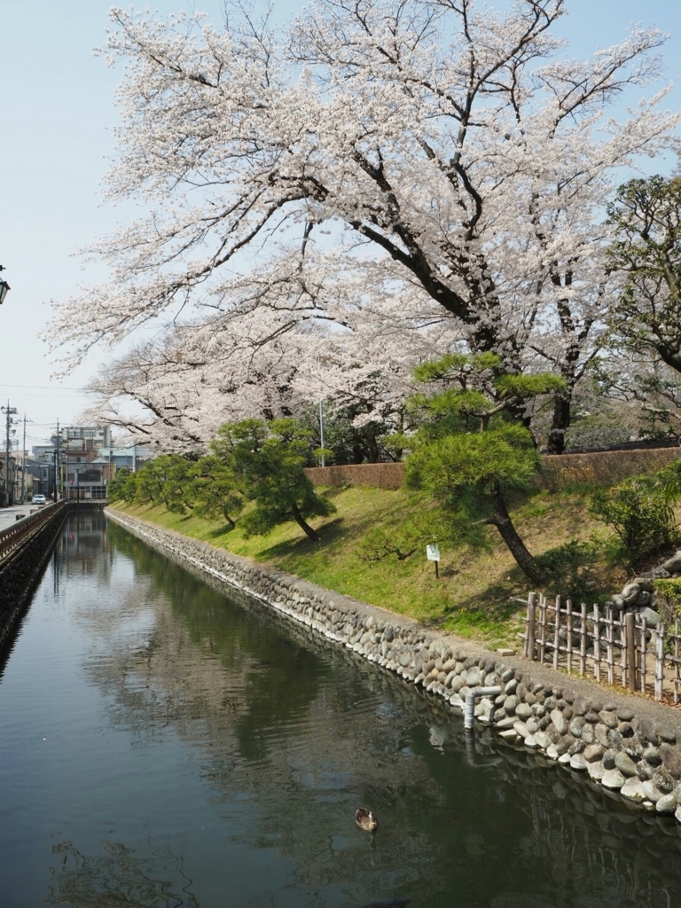 f:id:sakamotwin:20180329214754j:plain