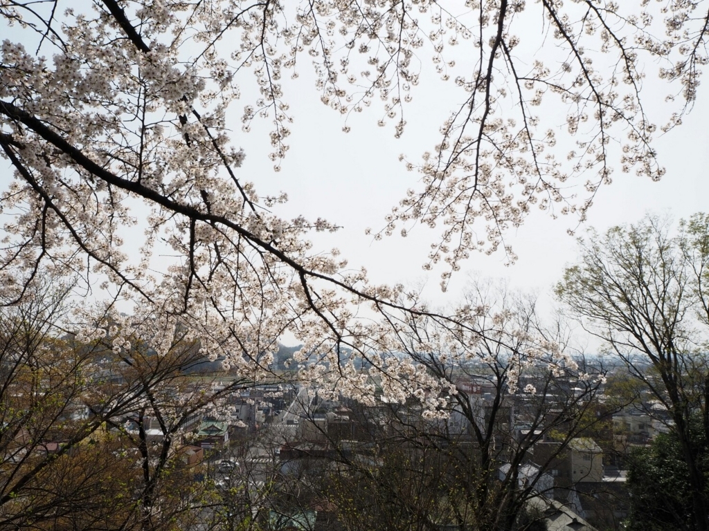 f:id:sakamotwin:20180329220411j:plain