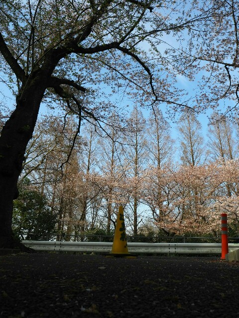 f:id:sakamotwin:20180401213611j:image