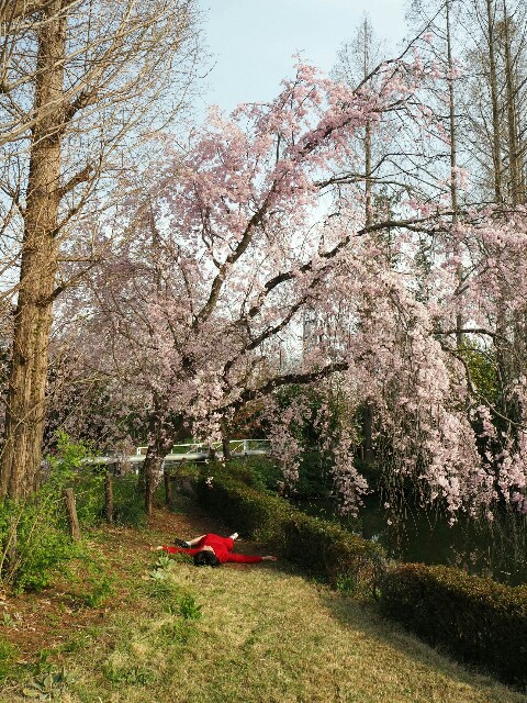 f:id:sakamotwin:20180401213643j:image