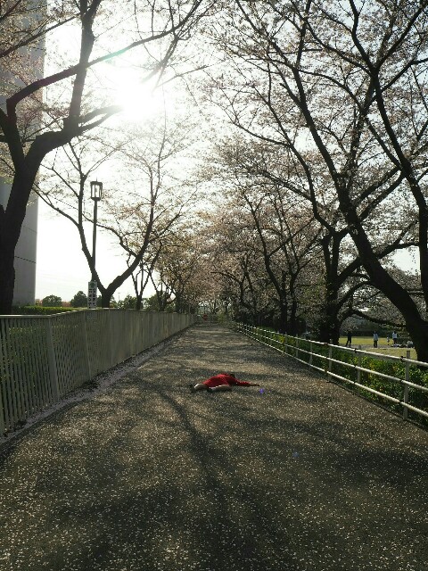 f:id:sakamotwin:20180401214015j:image