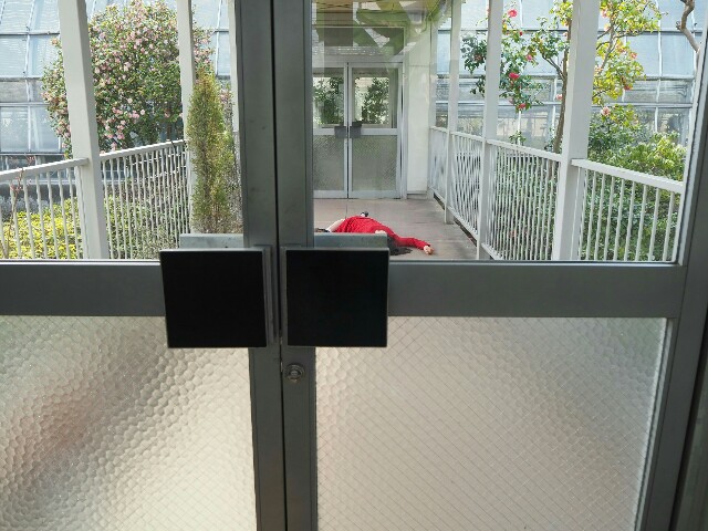 f:id:sakamotwin:20180401214052j:image