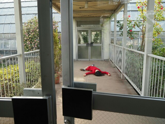 f:id:sakamotwin:20180401214113j:image