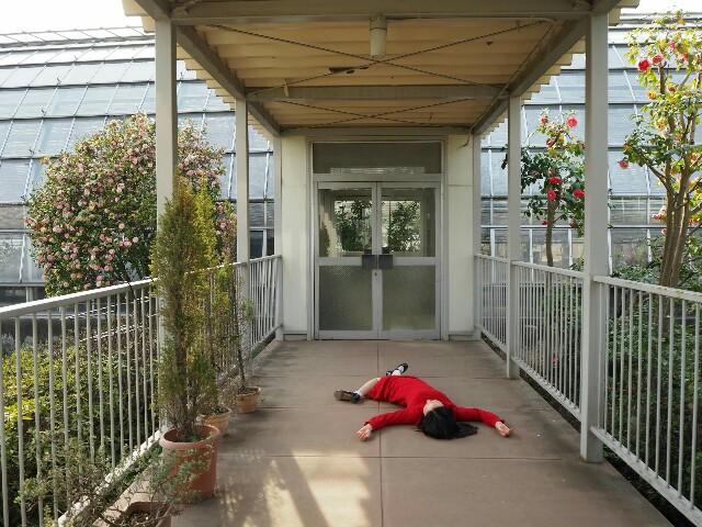 f:id:sakamotwin:20180401214140j:image