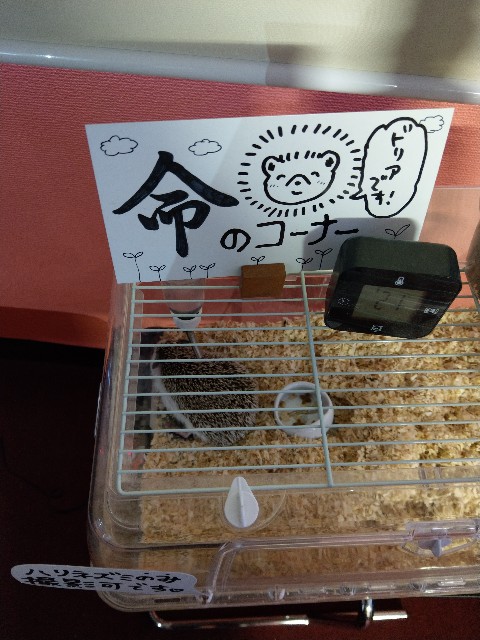 f:id:sakamotwin:20180408215447j:image