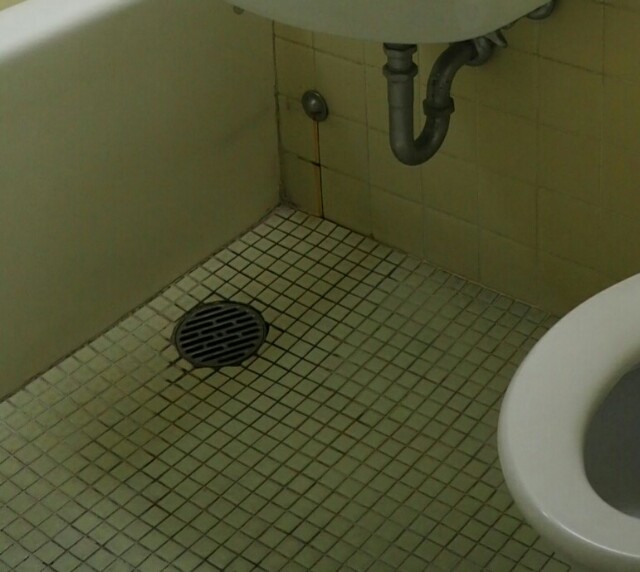 f:id:sakamotwin:20180810202230j:image f:id:sakamotwin:20180810202230j:image