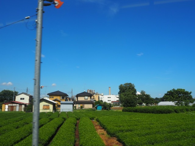 f:id:sakamotwin:20180825234925j:image