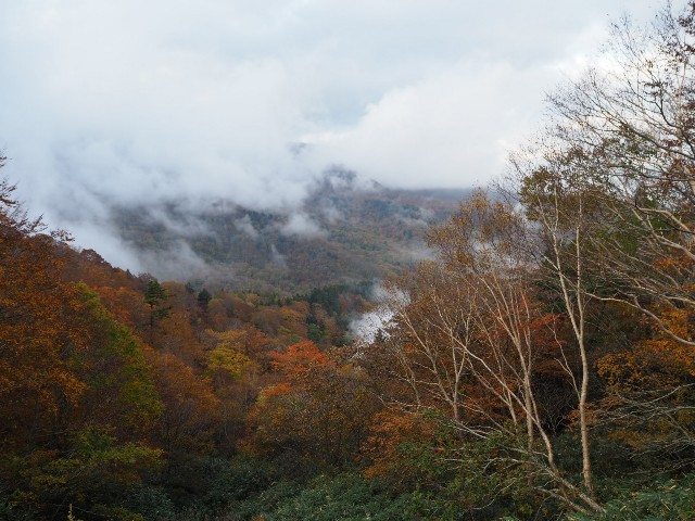 f:id:sakamotwin:20181023221648j:image