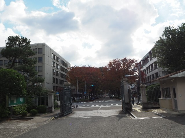 f:id:sakamotwin:20181111214729j:image
