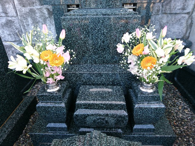 f:id:sakamotwin:20190129220444j:image