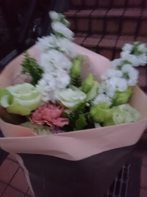 f:id:sakamotwin:20190129221018j:image