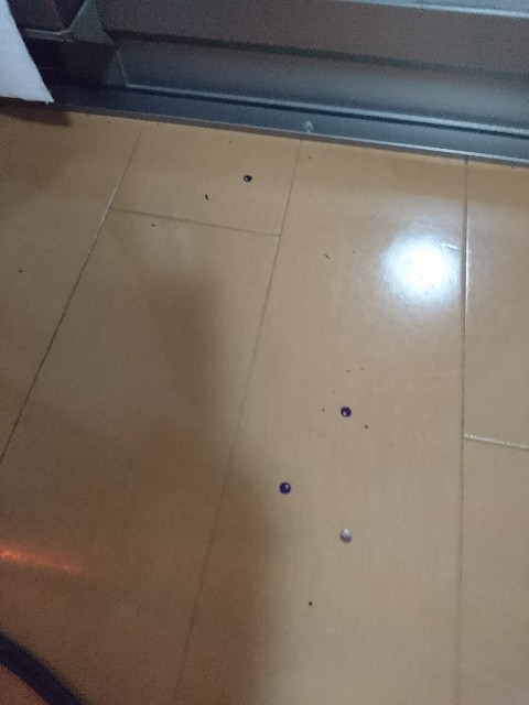 f:id:sakamotwin:20190202234119j:image