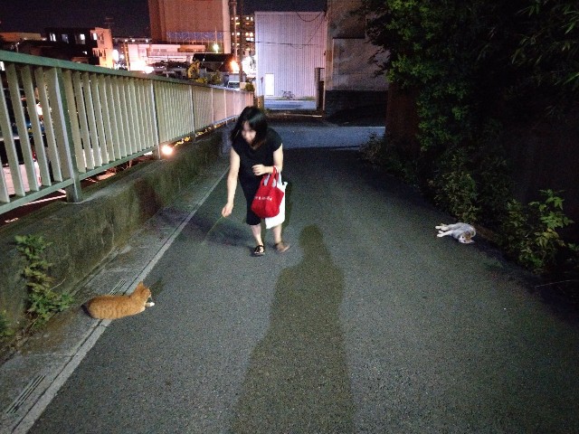 f:id:sakamotwin:20190211001506j:image