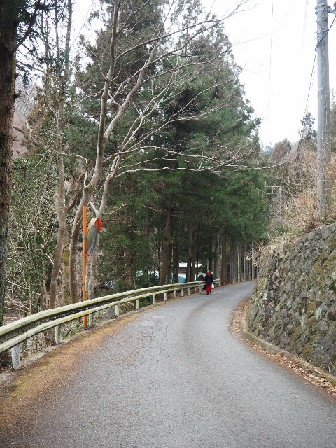 f:id:sakamotwin:20190212211128j:image