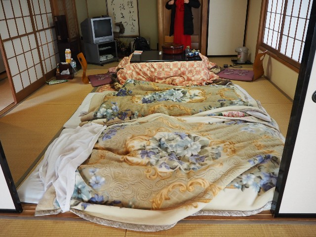 f:id:sakamotwin:20190212212959j:image