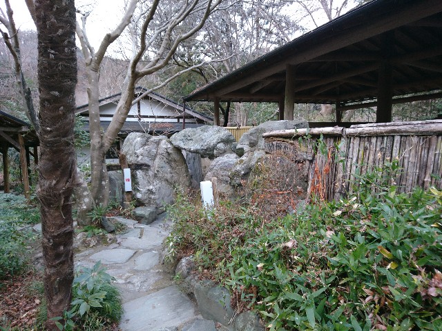 f:id:sakamotwin:20190212214604j:image
