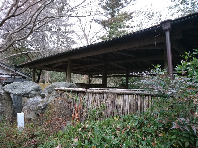 f:id:sakamotwin:20190212214656j:image