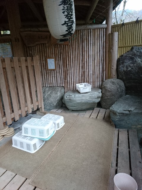 f:id:sakamotwin:20190212214803j:image