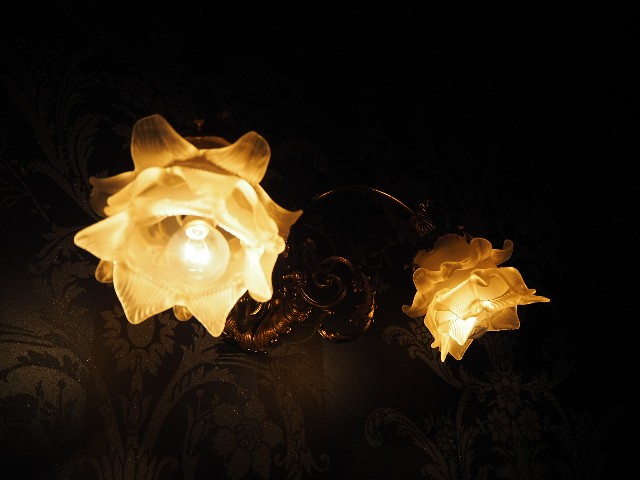 f:id:sakamotwin:20190312211321j:image