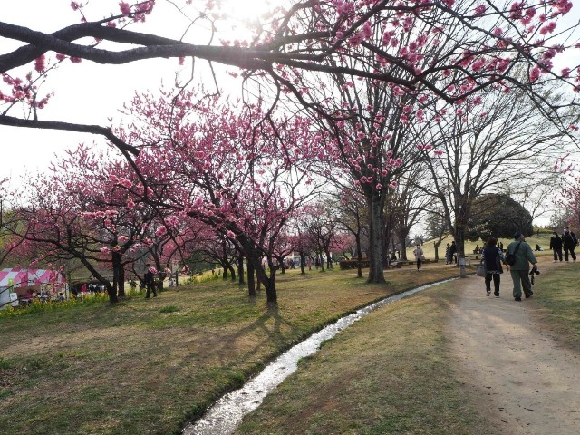 f:id:sakamotwin:20190328215529j:image