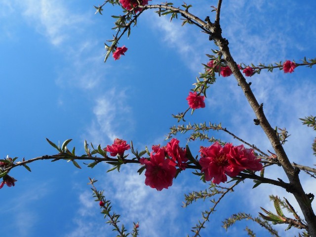 f:id:sakamotwin:20190328220220j:image
