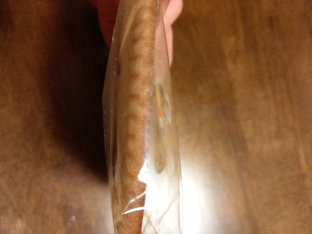 f:id:sakamotwin:20190403010246j:image