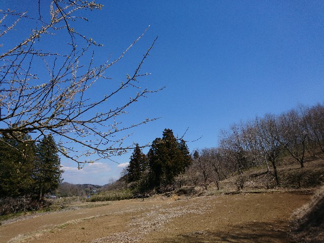 f:id:sakamotwin:20190412224316j:image