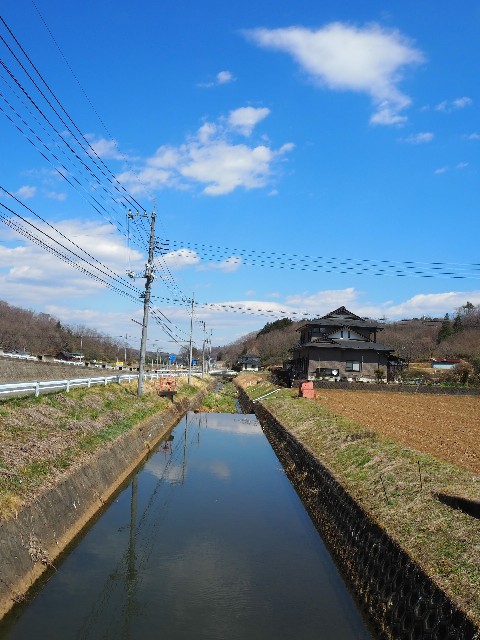 f:id:sakamotwin:20190412224430j:image