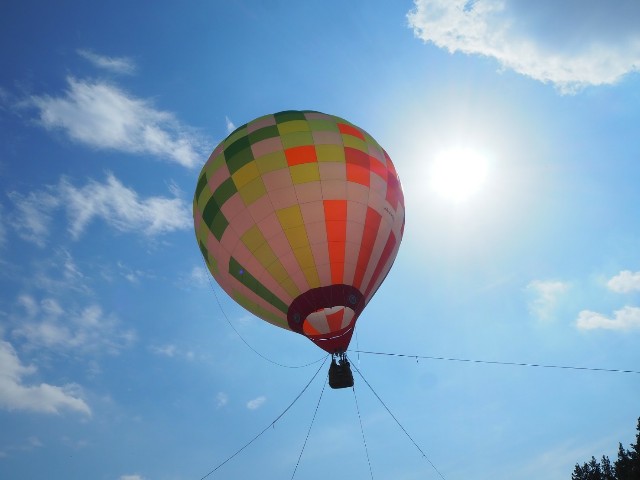 f:id:sakamotwin:20190416223048j:image f:id:sakamotwin:20190416223048j:image