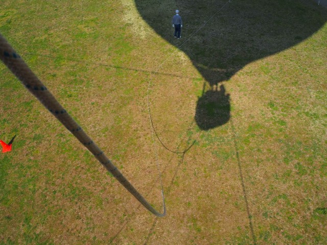 f:id:sakamotwin:20190416223806j:image f:id:sakamotwin:20190416223806j:image