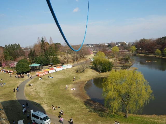 f:id:sakamotwin:20190416223844j:image f:id:sakamotwin:20190416223844j:image