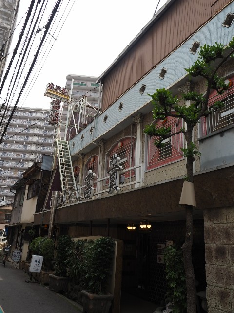 f:id:sakamotwin:20190426205518j:image