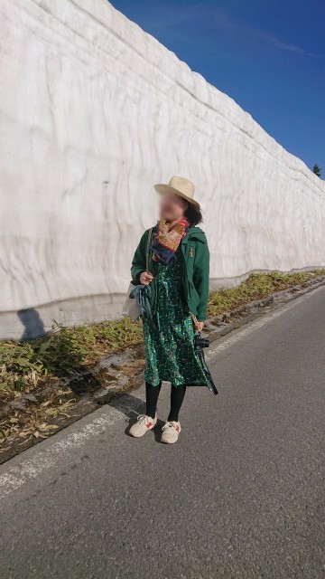 f:id:sakamotwin:20190522215525j:image