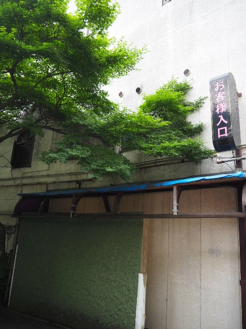 f:id:sakamotwin:20190613204741j:image