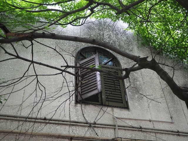 f:id:sakamotwin:20190613204940j:image