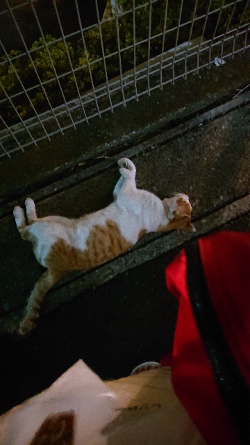 f:id:sakamotwin:20191005003747j:image