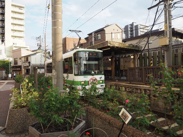 f:id:sakamotwin:20191007215532j:image