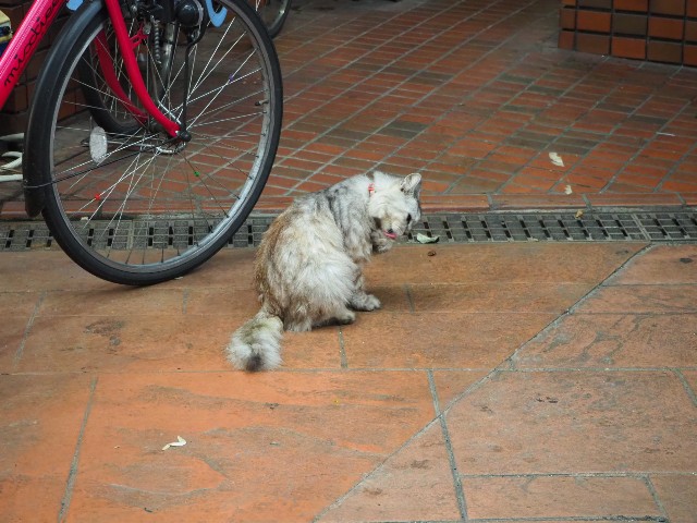 f:id:sakamotwin:20191007221016j:image
